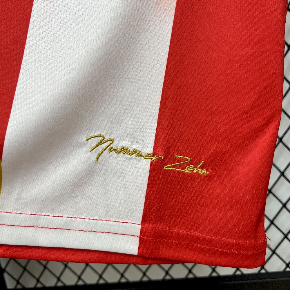 Mens Bayern Munich 2025/26 Special Edition Jersey - Image 12