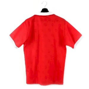 Svizzera 1994 1996 Maglia Home Retro