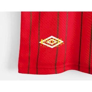 Wales 199496 home Retro Jersey 49663