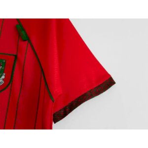 Wales 199496 home Retro Jersey 49666