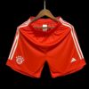 Mens Bayern Munich 2023/24 Home Shorts