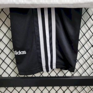 29eea43ff86ff1126bb1e72210bcafa7