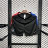 Mens Barcelona 2024/25 Away Shorts