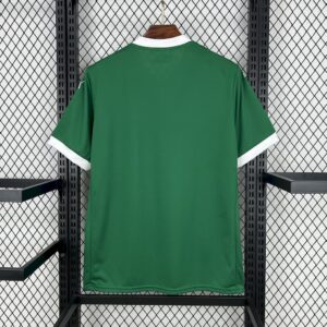 Alternative view of Mens Palmeiras 2025/26 Home Jersey