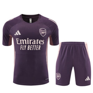 Unisex Arsenal 2024/25 Training Erwachsene Trikot+Short 14001