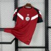Mens Ajax 2024/25 Third Retro Collection Jersey
