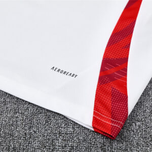 Alternative Ansicht von Unisex Manchester United 2024/25 Training Kids Jersey+Short 14001