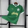 Mens Palmeiras 2023/24 X STUSSY Jersey