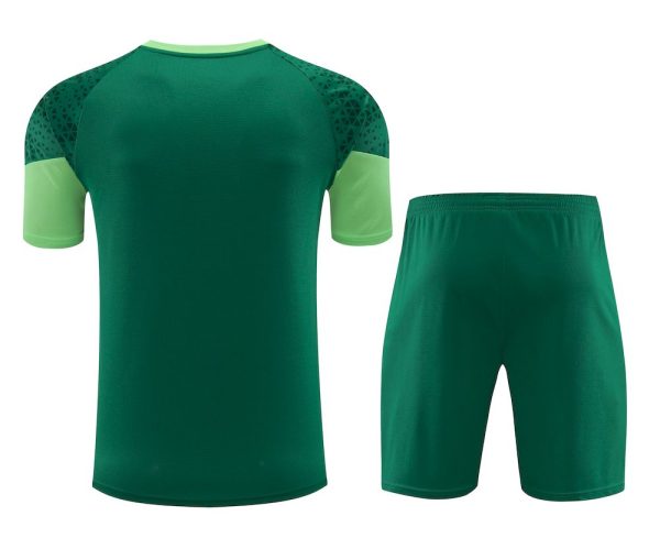 Palmeiras 2024/25 Training Adult Jersey+Short 418 - Image 2