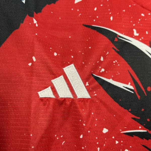 Japan 2024/25 ¥«¥«¥Í¥Ã¥È Jersey - Image 3