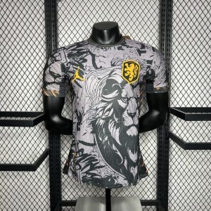 Netherlands 2024/25 Euro Jordan Version Jersey Player Version