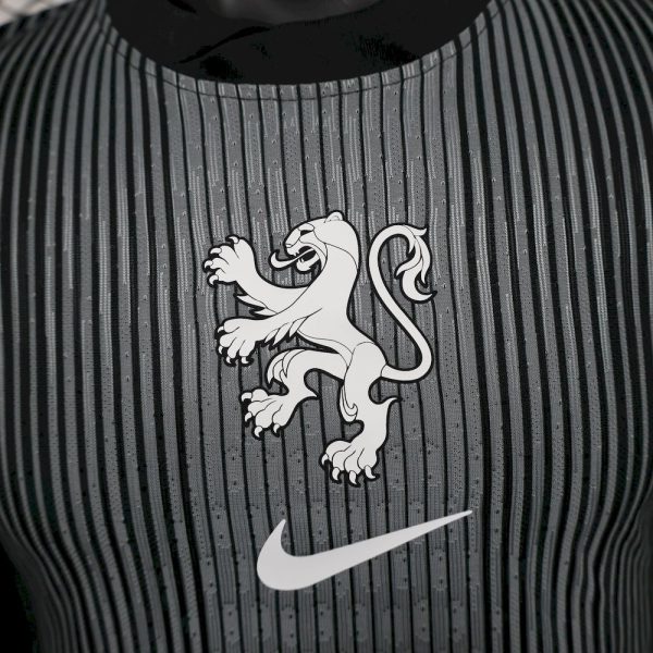 Netherlands 2025/26 Leaked Goalkeeper Jersey Player Version - Image 4