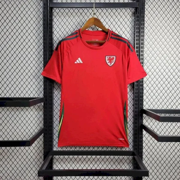 Wales 2024/25 Euro Away Jersey - Image 2