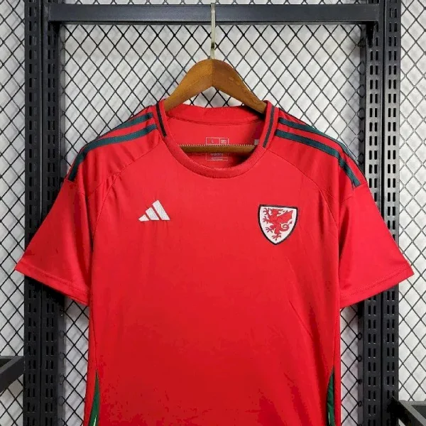 Wales 2024/25 Euro Away Jersey - Image 4