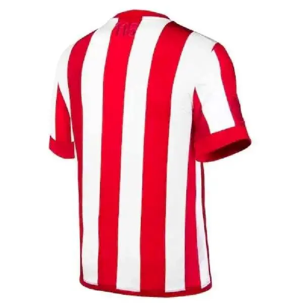 Chivas Puma Youth 115Th Anniversary Replica Jersey – Red/White - Image 3