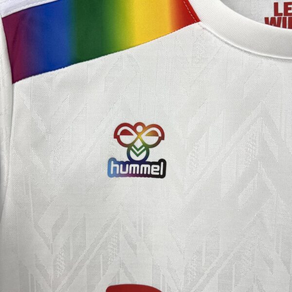1. Fc Köln 2025/26 Sondertrikot Diversity Senior Jersey - Image 8