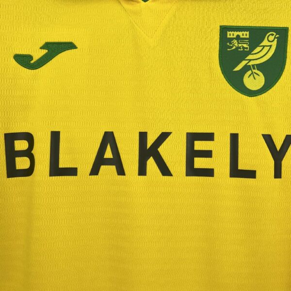Norwich City Fc 2025/26 Home Jersey - Image 6