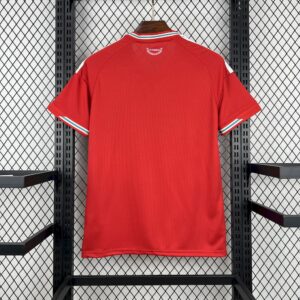 Alternative view of Mens Wales 2026 World Cup Home Jersey